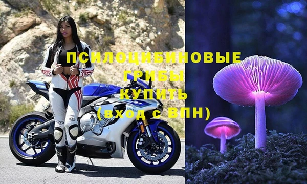 спиды Абинск