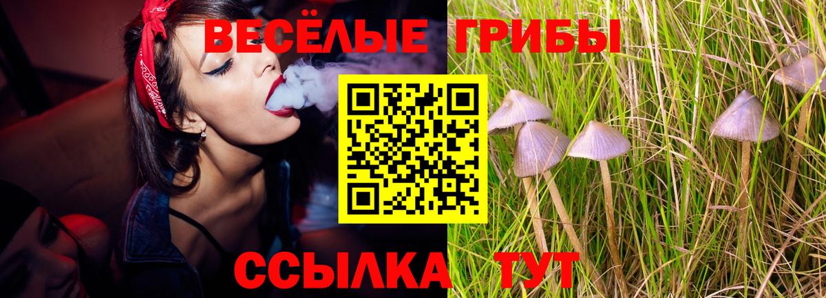 купить наркотик  Галлюциногенные грибы мицелий  Вход с VPN  Партизанск 